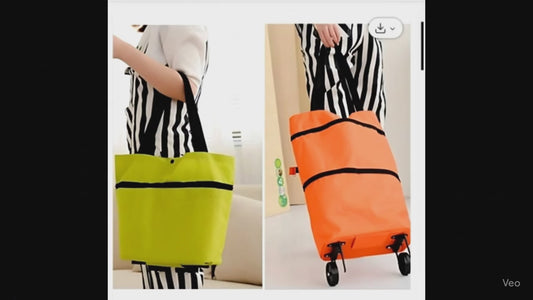 Trolly Bag Assorted Colors